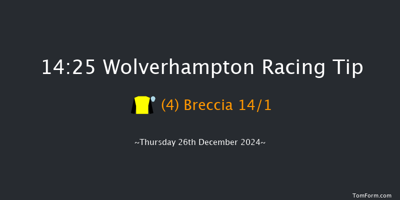 Wolverhampton  14:25 Handicap (Class 6) 16f Sat 21st Dec 2024