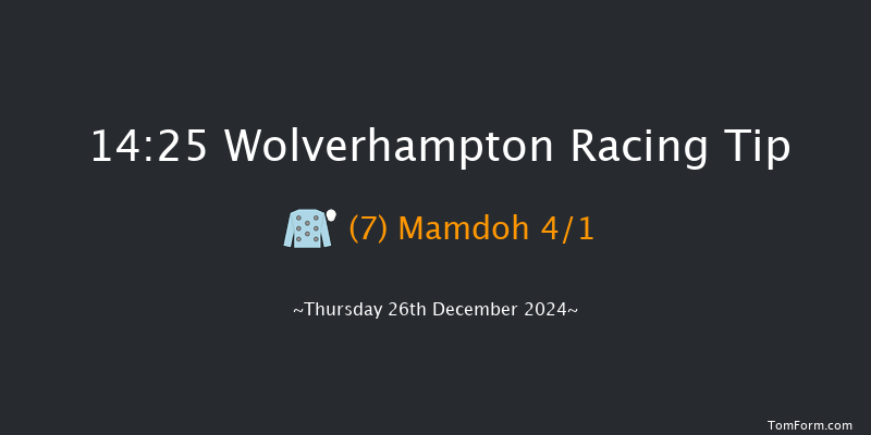 Wolverhampton  14:25 Handicap (Class 6) 16f Sat 21st Dec 2024