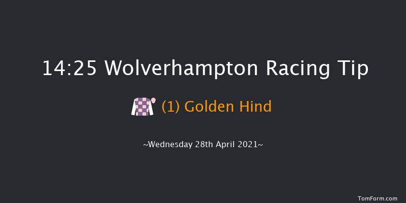 EBC Group Fillies' Handicap Wolverhampton 14:25 Handicap (Class 5) 12f Sat 24th Apr 2021