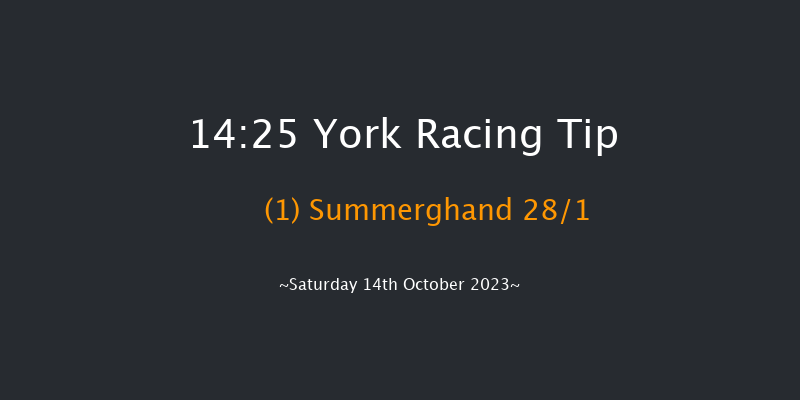 York 14:25 Handicap (Class 2) 6f Fri 13th Oct 2023