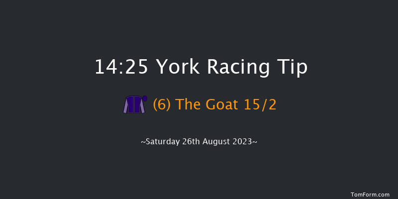 York 14:25 Handicap (Class 2) 14f Fri 25th Aug 2023