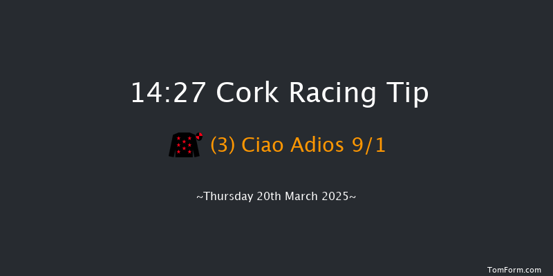 Cork  14:27 Handicap Hurdle 17f Fri 17th Jan 2025
