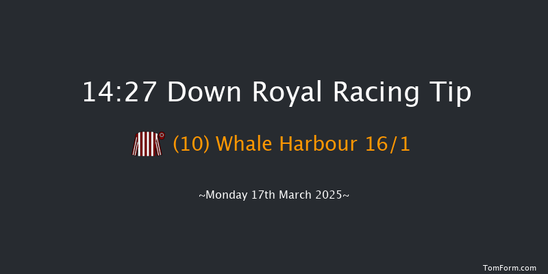 Down Royal  14:27 Handicap Hurdle 20f Tue 21st Jan 2025