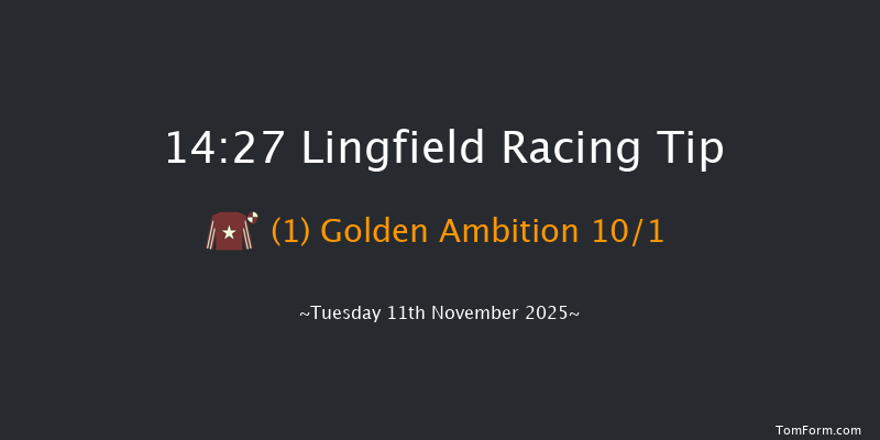 Lingfield 14-27 (Class 5) 23f Tue 4th Nov 2025