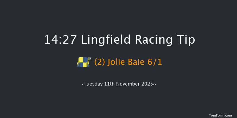 Lingfield 14-27 (Class 5) 23f Tue 4th Nov 2025