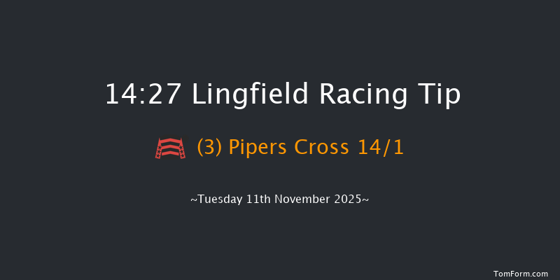 Lingfield 14-27 (Class 5) 23f Tue 4th Nov 2025