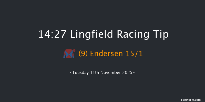 Lingfield 14-27 (Class 5) 23f Tue 4th Nov 2025
