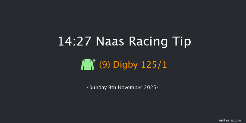 Naas 14-27 (Class 1) 20f Sun 12th Oct 2025