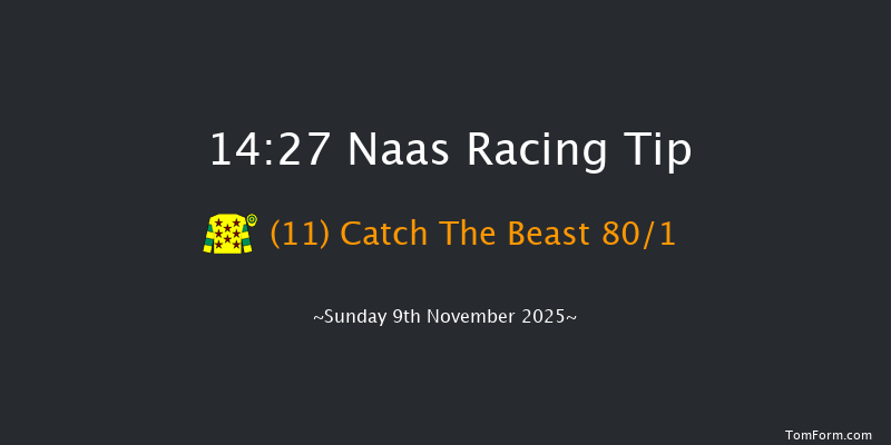 Naas 14-27 (Class 1) 20f Sun 12th Oct 2025
