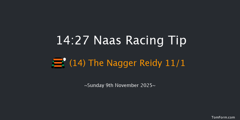 Naas 14-27 (Class 1) 20f Sun 12th Oct 2025