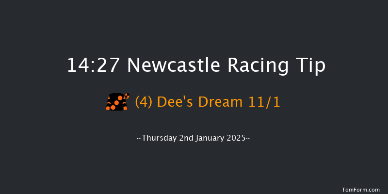 Newcastle  14:27 Stakes (Class 6) 12f Wed 1st Jan 2025