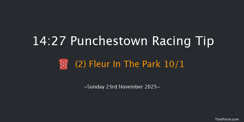 Punchestown 14-27 (Class 1) 16f Sat 22nd Nov 2025