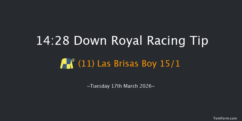 Down Royal 14-28 20f Tue 20th Jan 2026