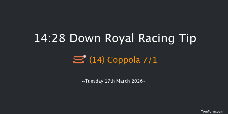 Down Royal 14-28 20f Tue 20th Jan 2026