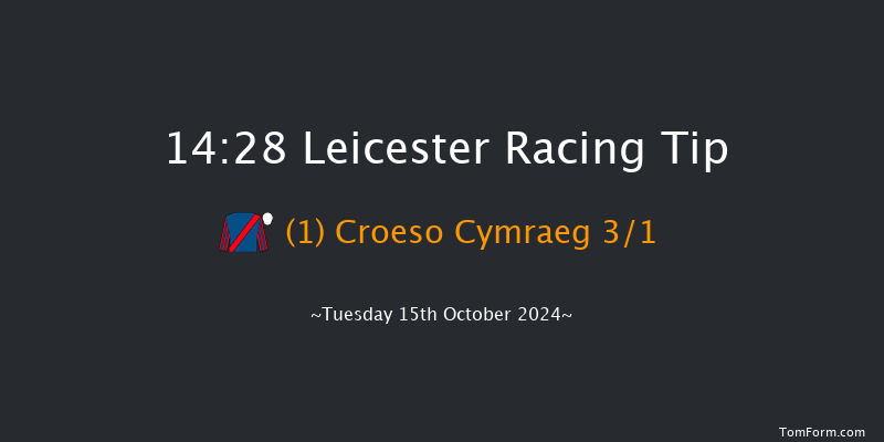 Leicester  14:28 Handicap (Class 5) 10f Tue 8th Oct 2024