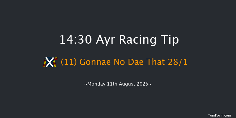 Ayr 14-30 (Class 6) 7f Sat 9th Aug 2025
