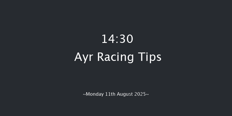 Ayr 14-30 (Class 6) 7f Sat 9th Aug 2025