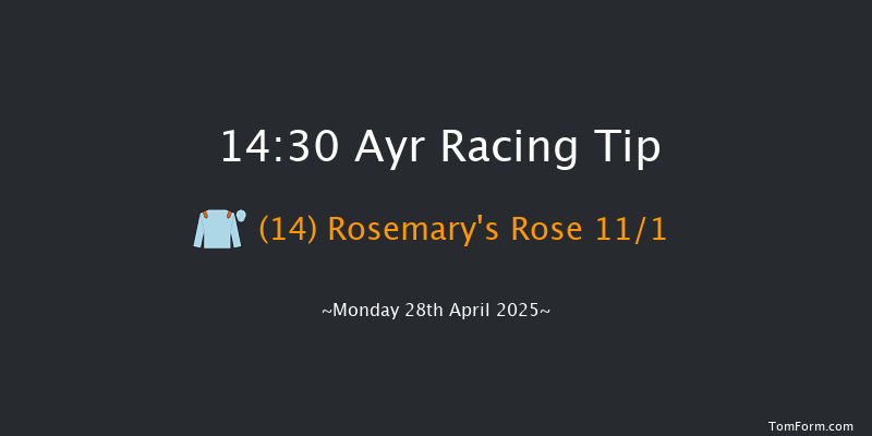 Ayr 14-30 (Class 5) 8f Sat 12th Apr 2025