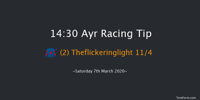 Heverlee Mares' Handicap Hurdle Ayr 14:30 Handicap Hurdle (Class 4) 21f Sun 19th Jan 2020