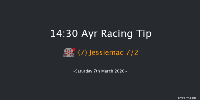 Heverlee Mares' Handicap Hurdle Ayr 14:30 Handicap Hurdle (Class 4) 21f Sun 19th Jan 2020