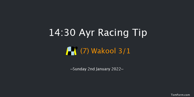 Ayr 14:30 Handicap Hurdle (Class 2) 24f Tue 21st Dec 2021