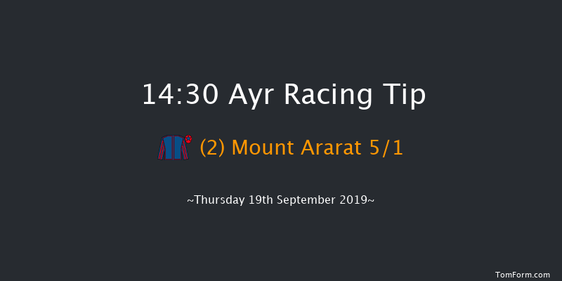 Ayr 14:30 Handicap (Class 5) 8f Sat 10th Aug 2019