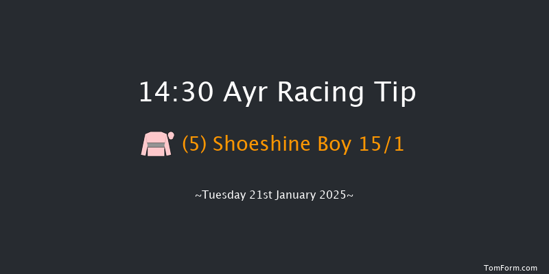 Ayr  14:30 Handicap Hurdle (Class 4) 24f Mon 20th Jan 2025