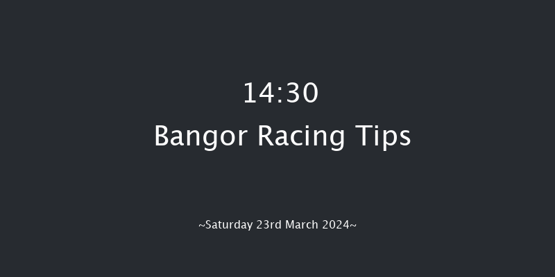 Bangor-on-dee  14:30 Handicap Chase (Class
3) 24f Wed 28th Feb 2024
