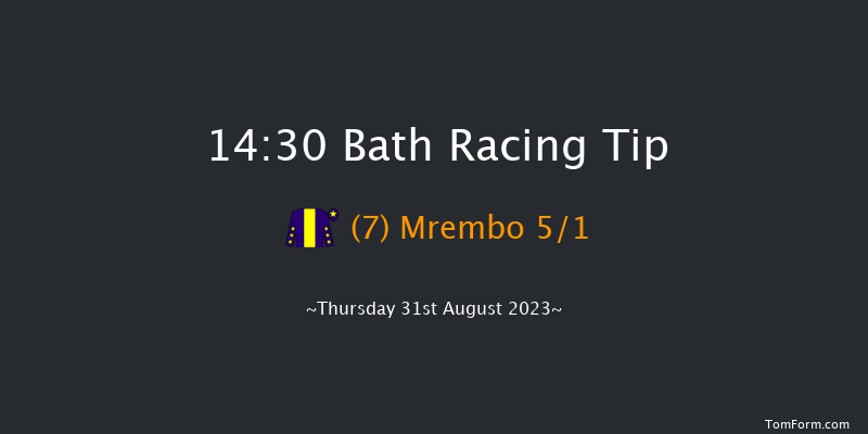 Bath 14:30 Handicap (Class 6) 12f Wed 23rd Aug 2023