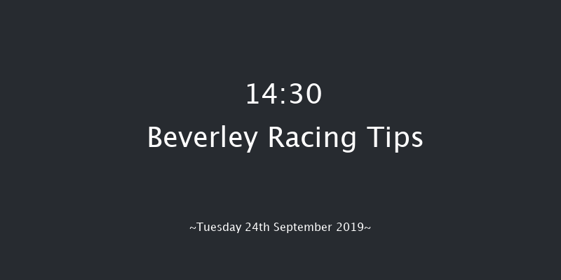 Beverley 14:30 Stakes (Class 5) 7f Wed 18th Sep 2019