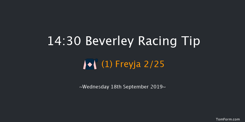 Beverley 14:30 Stakes (Class 5) 7f Sat 31st Aug 2019