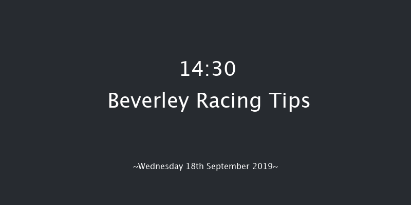 Beverley 14:30 Stakes (Class 5) 7f Sat 31st Aug 2019