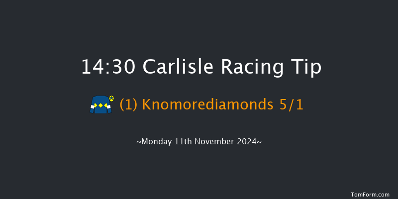 Carlisle  14:30 Handicap Hurdle (Class 4) 17f Sun 3rd Nov 2024