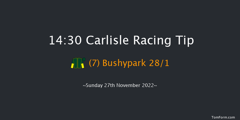 Carlisle 14:30 Handicap Hurdle (Class 3) 25f Sun 30th Oct 2022