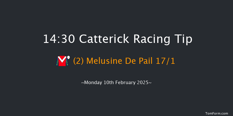 Catterick  14:30 Handicap Chase (Class 5) 25f Fri 31st Jan 2025