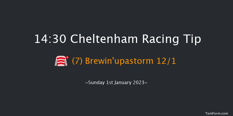 Cheltenham 14:30 Conditions Hurdle (Class 1) 20f Sun 13th Nov 2022