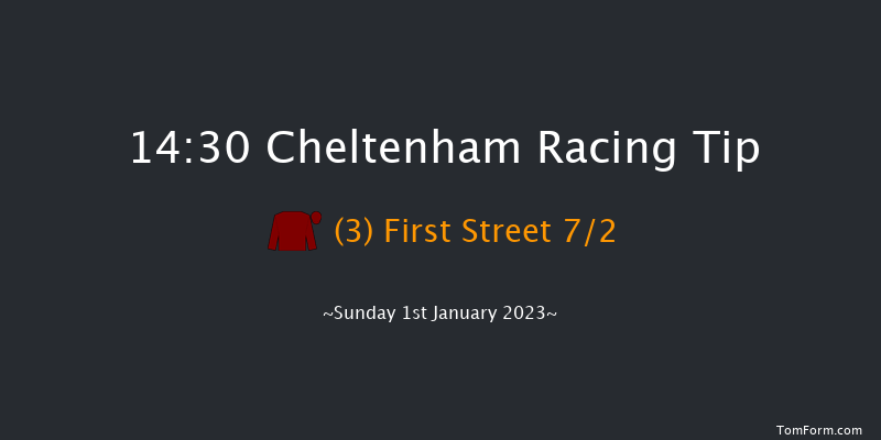 Cheltenham 14:30 Conditions Hurdle (Class 1) 20f Sun 13th Nov 2022