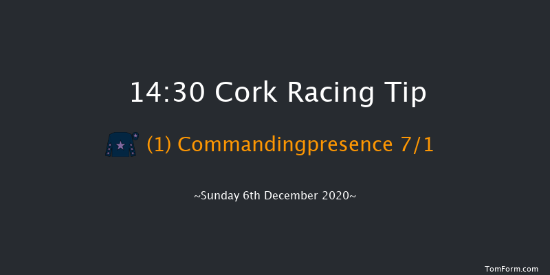 Kerry Group Stayers Novice Hurdle (Grade 3) Cork 14:30 Novices Hurdle 24f Sun 22nd Nov 2020