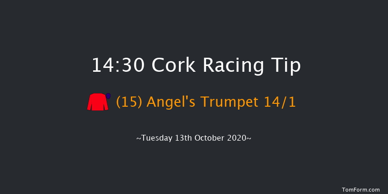 CorkRacecourse.ie Handicap (45-65) Cork 14:30 Handicap 8f Tue 29th Sep 2020