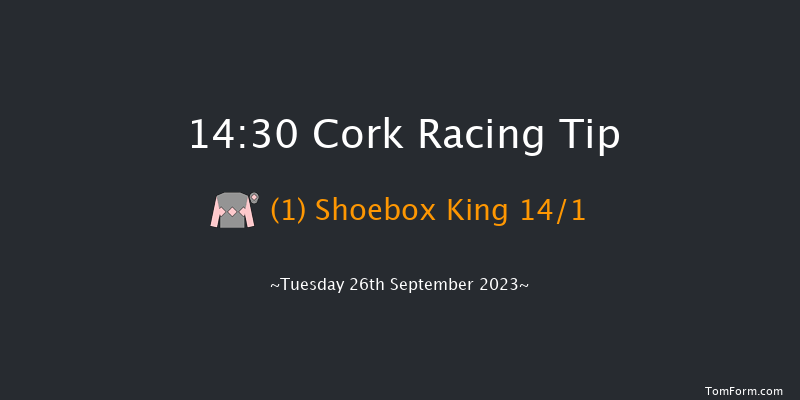 Cork 14:30 Handicap 6f Wed 6th Sep 2023