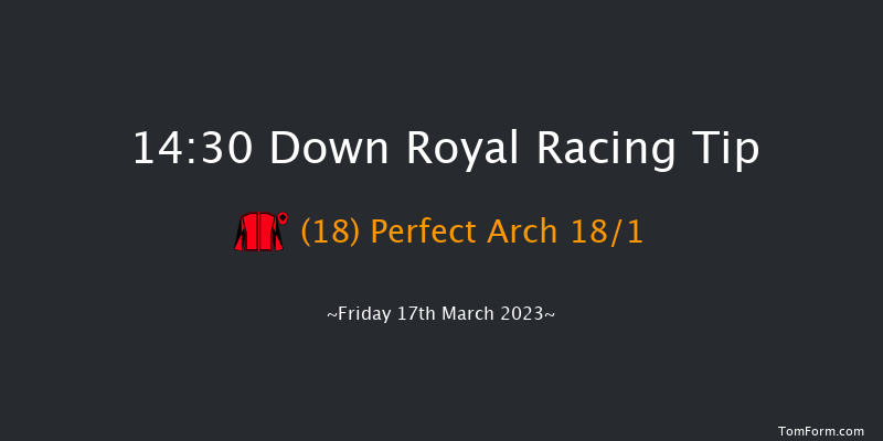 Down Royal 14:30 Handicap Hurdle 20f Tue 24th Jan 2023