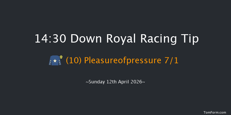Down Royal 14-30 19f Tue 17th Mar 2026