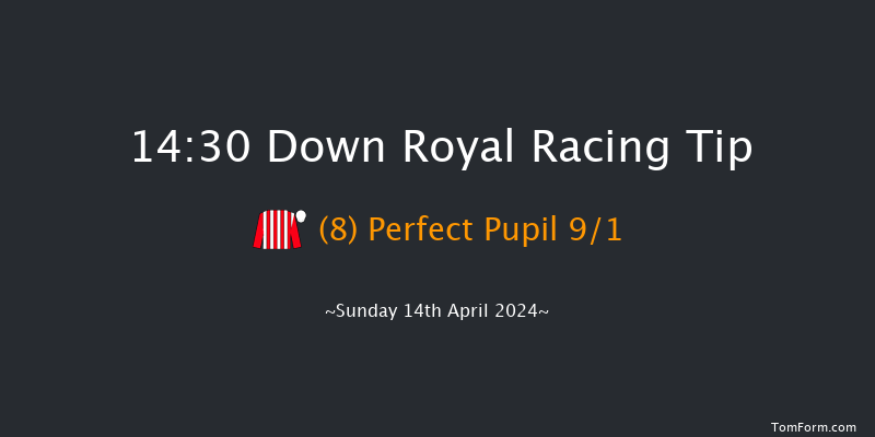 Down Royal  14:30 Handicap Hurdle 20f Sun 17th Mar 2024