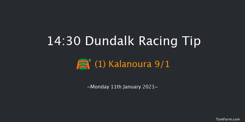 Irishinjuredjockeys.com Handicap (45-65) (Div 1) Dundalk 14:30 Handicap 12f Fri 8th Jan 2021