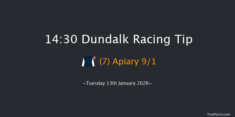 Dundalk 14-30 8f Fri 9th Jan 2026