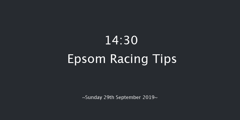Epsom 14:30 Stakes (Class 2) 8f Thu 12th Sep 2019