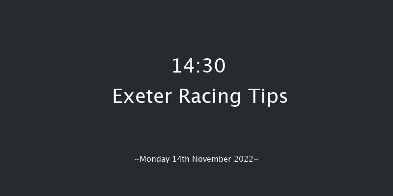 Exeter 14:30 Handicap Chase (Class 4) 24f Fri 4th Nov 2022