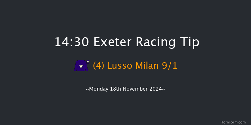Exeter  14:30 Maiden Hurdle (Class 4) 18f Fri 8th Nov 2024