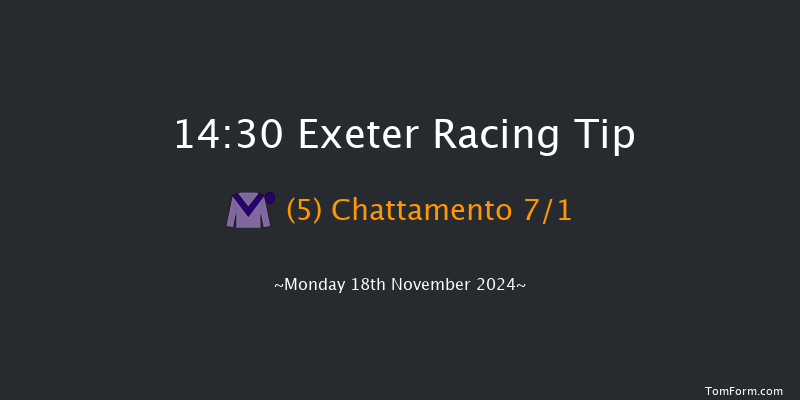 Exeter  14:30 Maiden Hurdle (Class 4) 18f Fri 8th Nov 2024
