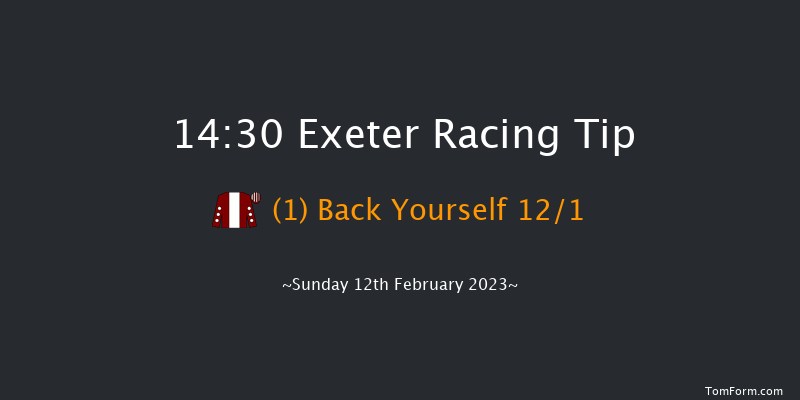 Exeter 14:30 Maiden Hurdle (Class 4) 18f Wed 1st Feb 2023